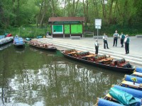 Im Hafen von Lübbenau (BB) im Spreewald I