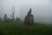 Auf dem Fichtelberg (SN)