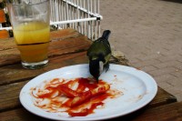 Mahlzeit!
