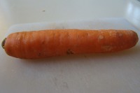 Möhre I