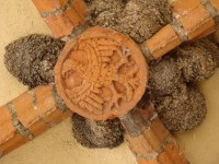 Schwalbennester
