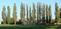 Auf dem Sportplatz des TSG "Grün-Weiß 1925" e. V.